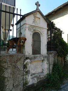 VARISELLA_012